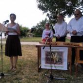 Kattintson a képre az új ablakban megnyíló eredeti felbontású fotóért.