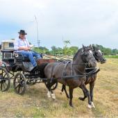 Kattintson a képre az új ablakban megnyíló eredeti felbontású fotóért.
