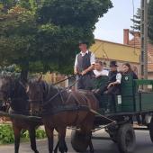 Kattintson a képre az új ablakban megnyíló eredeti felbontású fotóért.