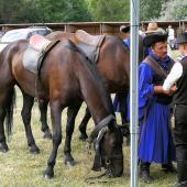 Kattintson a képre az új ablakban megnyíló eredeti felbontású fotóért.