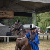 Kattintson a képre az új ablakban megnyíló eredeti felbontású fotóért.