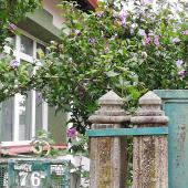 Kattintson a képre az új ablakban megnyíló eredeti felbontású fotóért.