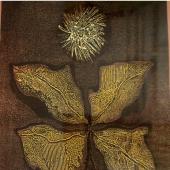 Kattintson a képre az új ablakban megnyíló eredeti felbontású fotóért.