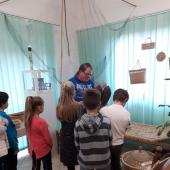 Kattintson a képre az új ablakban megnyíló eredeti felbontású fotóért.