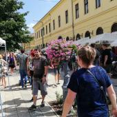Kattintson a képre az új ablakban megnyíló eredeti felbontású fotóért.