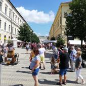 Kattintson a képre az új ablakban megnyíló eredeti felbontású fotóért.