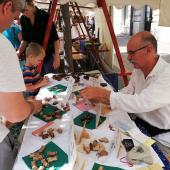 Kattintson a képre az új ablakban megnyíló eredeti felbontású fotóért.