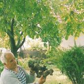 Kattintson a képre az új ablakban megnyíló eredeti felbontású fotóért.