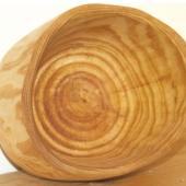 Kattintson a képre az új ablakban megnyíló eredeti felbontású fotóért.