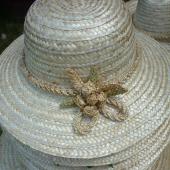 Kattintson a képre az új ablakban megnyíló eredeti felbontású fotóért.