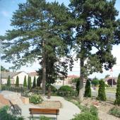 Kattintson a képre az új ablakban megnyíló eredeti felbontású fotóért.