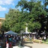 Kattintson a képre az új ablakban megnyíló eredeti felbontású fotóért.