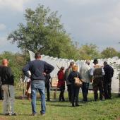 Kattintson a képre az új ablakban megnyíló eredeti felbontású fotóért.