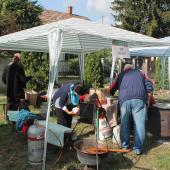 Kattintson a képre az új ablakban megnyíló eredeti felbontású fotóért.