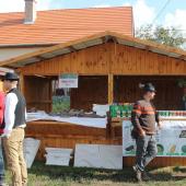 Kattintson a képre az új ablakban megnyíló eredeti felbontású fotóért.