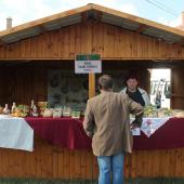 Kattintson a képre az új ablakban megnyíló eredeti felbontású fotóért.